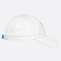 AT&T Blaise Hat